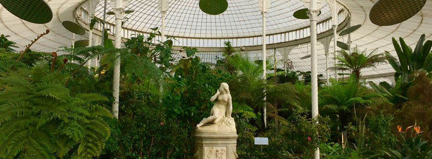Glasgow Botanic Garden