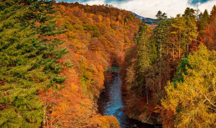 Pitlochry Woods