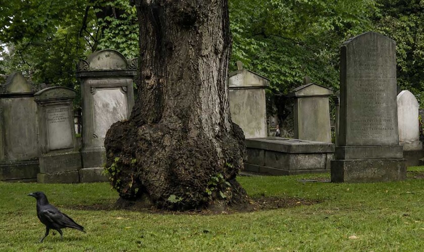 Free tour of ghosts, mysteries, and witches of Edinburgh