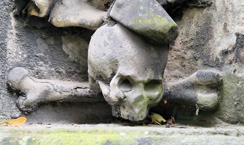 skull from the ghosts free tour