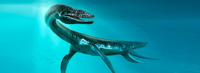 Ilustración de un plesiosaurio
