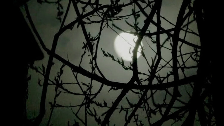 Moon from the graveyard